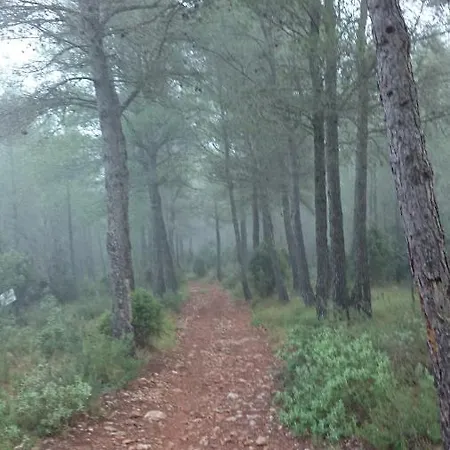 דירה La Coveta Rural *