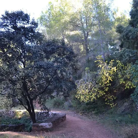 La Coveta Rural *